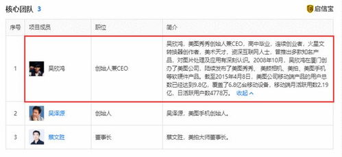 美圖公司投資比特幣巨虧1.29億，信息技術(shù)咨詢業(yè)務前景幾何？